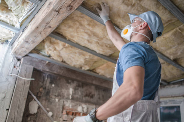 Best Geographic-Specific Insulation Services in Alanes Ridge, CA
