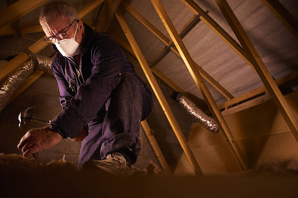 Best Eco-Friendly Insulation in Alanes Ridge, CA