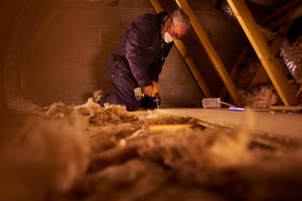 Best DIY Insulation Kits and Guidance in Alanes Ridge, CA